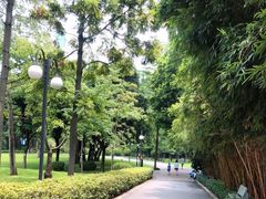 -晓港公园