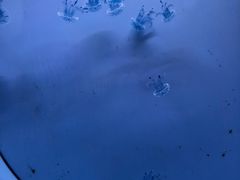 -常州海昌海洋探索馆