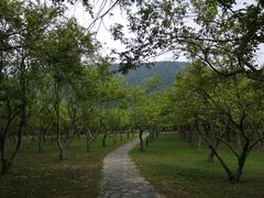 -开平碉楼文化旅游区马降龙景区