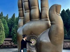 -龙口南山旅游景区