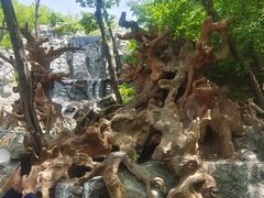 -广州市白云山风景名胜区