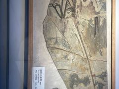 -重庆自然博物馆(新馆)