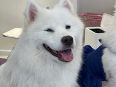 -怪兽屋·羊驼·猫咖·狗咖(俊华广场店)