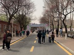 -吉林大学(南岭校区)