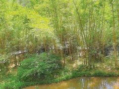 -大屏嶂森林公园