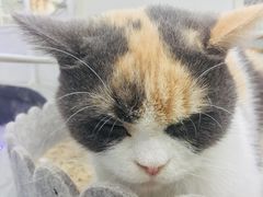 -极木²邸 人与宠物·互动社区