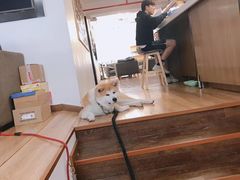 -YCHL Studios健身工作室(市二宫店)