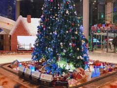 -成都世纪城假日酒店-西楼