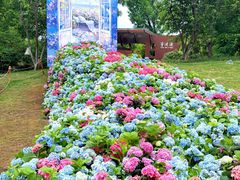 -武汉园博园(武汉自然博物馆)