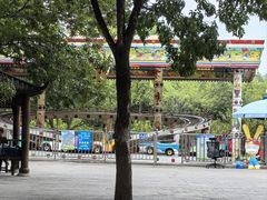 -大望京公园