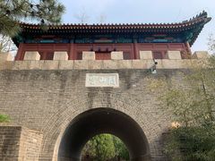 -云岗森林公园