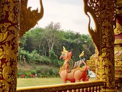 -西双版纳勐泐文化旅游区