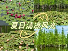 -白鹭湾湿地公园