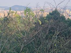 -广州市白云山风景名胜区