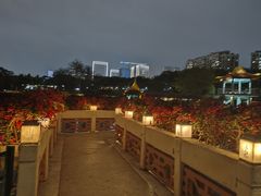-深圳龙潭公园