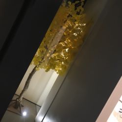 -美壹生诊所皮肤管理中心·海菲秀&Legacy太空艙