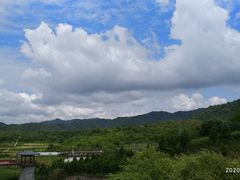 -青峰峡国家森林公园