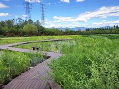 -永定河休闲森林公园