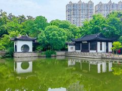 -红梅公园