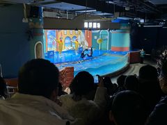 -重庆欢乐海底世界