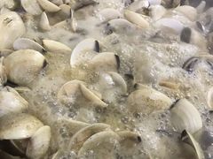 -顺德哥卜卜贝(旗舰店)