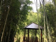 -广州市石门国家森林公园