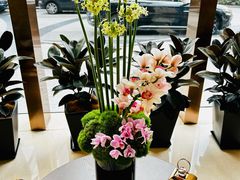 -食百绚全日制餐厅(成都棕榈泉费尔蒙酒店)