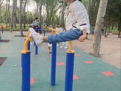 -森林公园(尖草坪区)