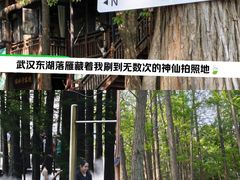 -东湖落雁景区