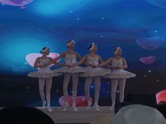 -荷兰花海