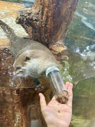 -Zoolung Zoolung动物主题公园(海信广场店)