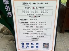 -西双版纳原始森林公园