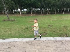 -滨湖塘西河公园