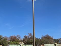 -奥兰多迪士尼动物王国乐园