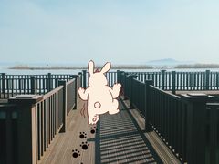 -太湖湖滨国家湿地公园-停车场
