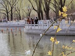 -莲花池公园
