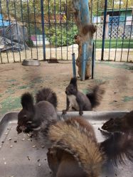 -萌宠亲子动物乐园(槐房万达店)