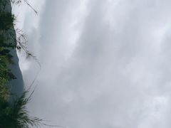 -西涌国际滨海旅游区