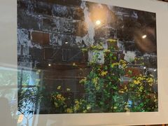 -花迹(富春江东街店)