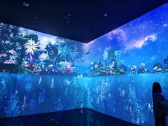 -中国湿地博物馆