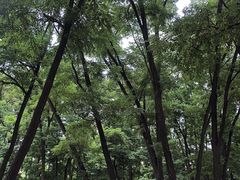 -渝香居重庆火锅(铁西三道街店)