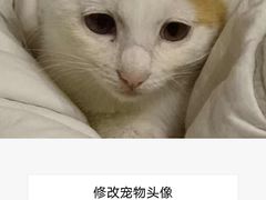 -半岛宠物医院24小时(科华中路店)