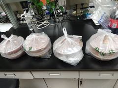 -南京大学-第9食堂