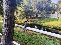 -黛秀湖公园