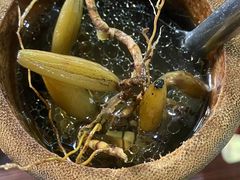 -竹一味·竹筒饭