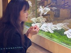 -Lamant Manor已闻花名关於蓝