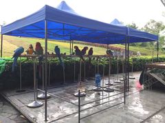 -东部华侨城