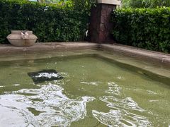 -大连金石滩绿发温泉假日酒店