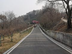 -南京市江宁方山