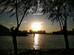 -天鹅湖体育公园